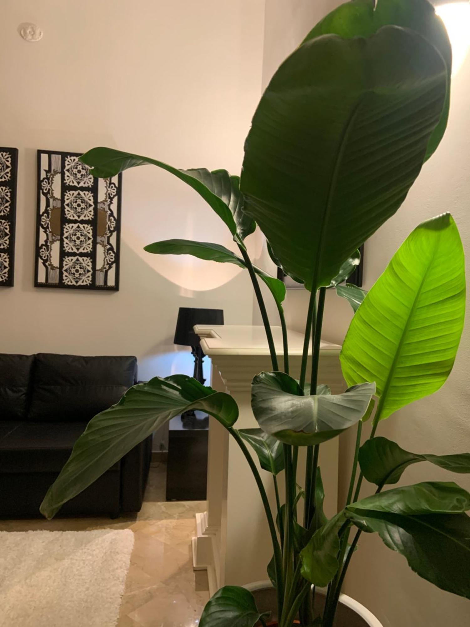 Bari Downtown Luxury Apartment Exteriör bild